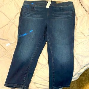 Torrid cropped jeans
